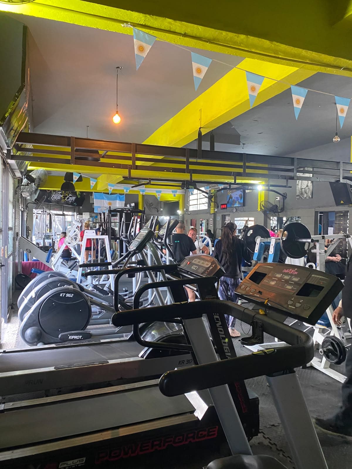 Cintas, elípticos y máquinas de entrenamiento en la sala de HalterGym